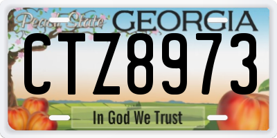 GA license plate CTZ8973