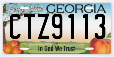 GA license plate CTZ9113