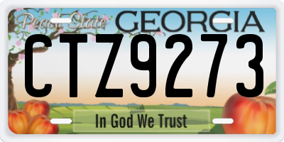 GA license plate CTZ9273