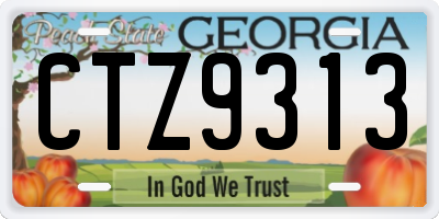 GA license plate CTZ9313