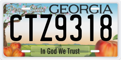 GA license plate CTZ9318