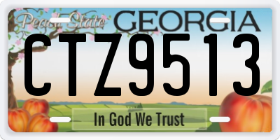 GA license plate CTZ9513