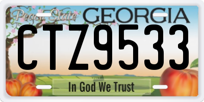GA license plate CTZ9533