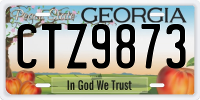 GA license plate CTZ9873