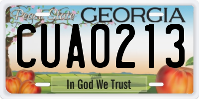 GA license plate CUA0213