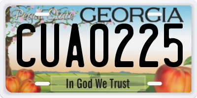 GA license plate CUA0225