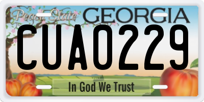 GA license plate CUA0229
