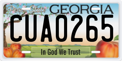 GA license plate CUA0265