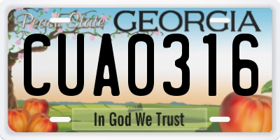 GA license plate CUA0316