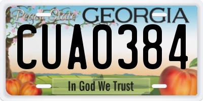 GA license plate CUA0384