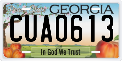 GA license plate CUA0613