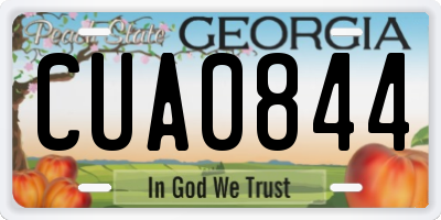 GA license plate CUA0844