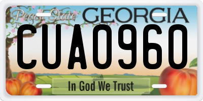 GA license plate CUA0960