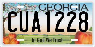 GA license plate CUA1228