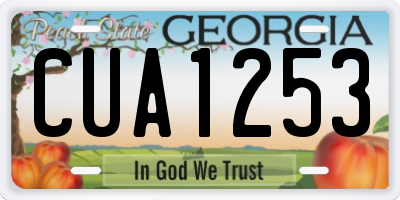 GA license plate CUA1253