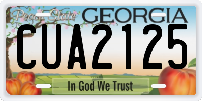 GA license plate CUA2125