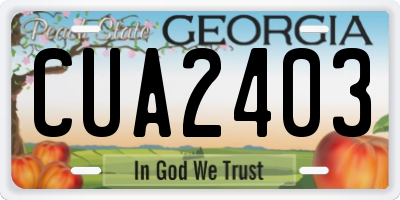 GA license plate CUA2403
