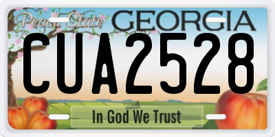 GA license plate CUA2528