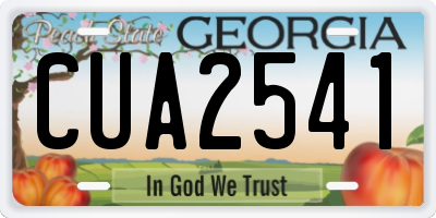 GA license plate CUA2541