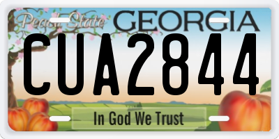 GA license plate CUA2844