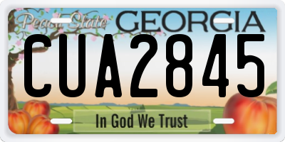 GA license plate CUA2845