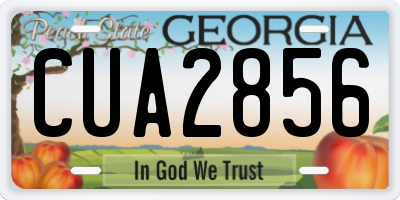 GA license plate CUA2856