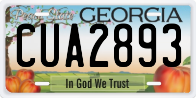 GA license plate CUA2893