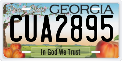 GA license plate CUA2895