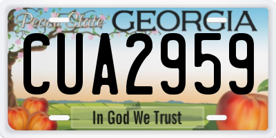 GA license plate CUA2959