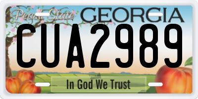 GA license plate CUA2989