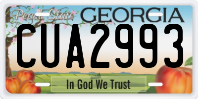 GA license plate CUA2993