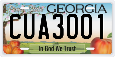 GA license plate CUA3001