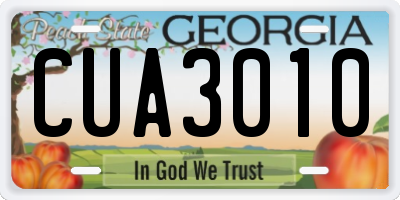 GA license plate CUA3010