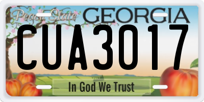 GA license plate CUA3017