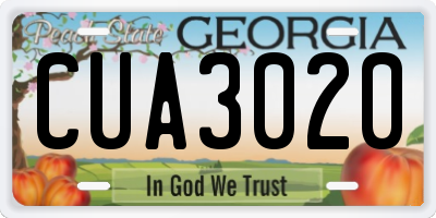 GA license plate CUA3020