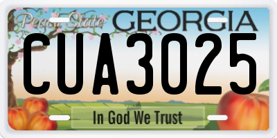 GA license plate CUA3025