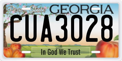 GA license plate CUA3028