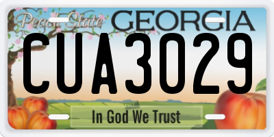 GA license plate CUA3029