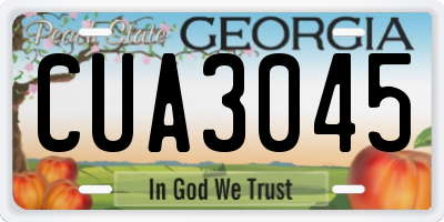 GA license plate CUA3045