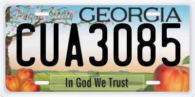 GA license plate CUA3085