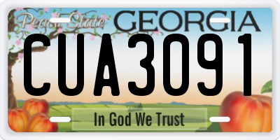 GA license plate CUA3091