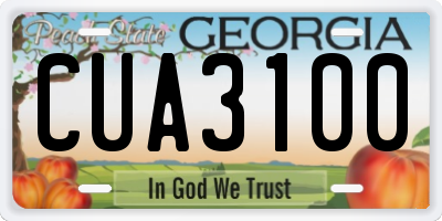 GA license plate CUA3100