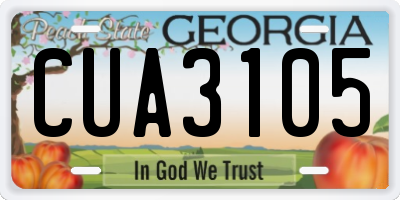 GA license plate CUA3105