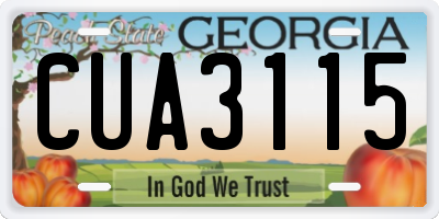 GA license plate CUA3115