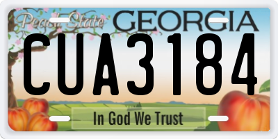 GA license plate CUA3184