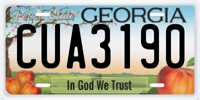 GA license plate CUA3190