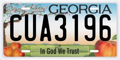 GA license plate CUA3196