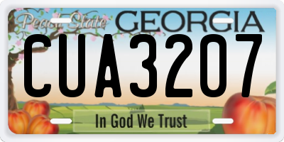 GA license plate CUA3207
