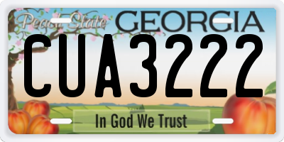 GA license plate CUA3222