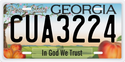 GA license plate CUA3224